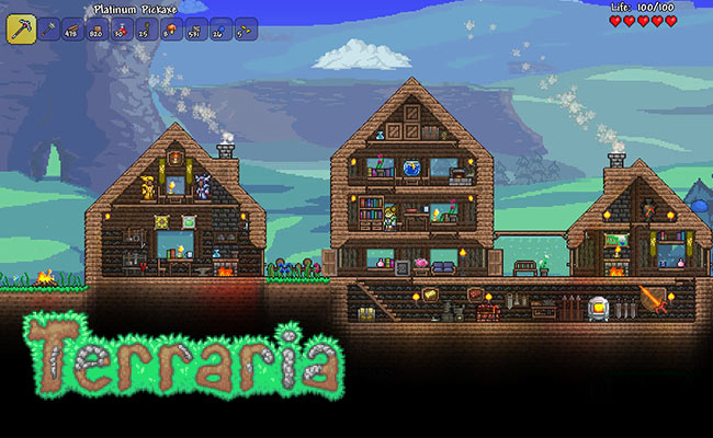 Terraria самые редкие вещи